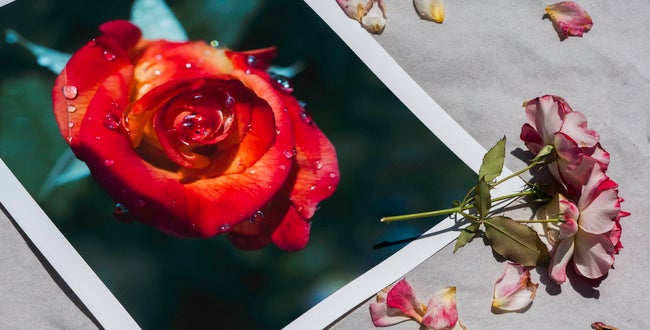 Shop Banner