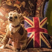 The Civilized Citizen | Fine Interiors Profile