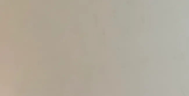 Shop Banner