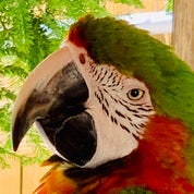 Truly Florida Finds Profile