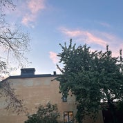 In praise of shadows Profile