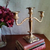 Quiet Luxury Profile