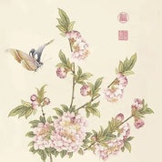 Butterflywuu Profile