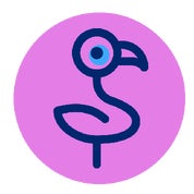 Funky Flamingo Profile