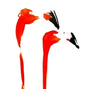 James Repton Profile