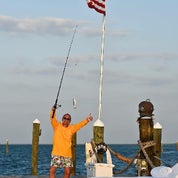 Franck Prissert Profile