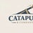 Catapult & company Avatar