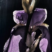 Turn of The Century Profile