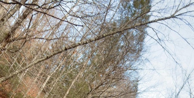 Shop Banner