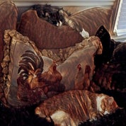 Casual Elegance Profile