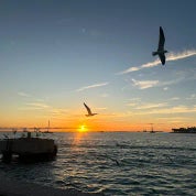 Stephanie H. Profile