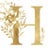 Hayward Antiques & Interiors Avatar