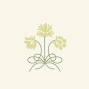 Regan Draulis Interiors Profile