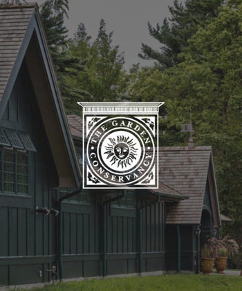 Fellows Focus: Douglas Wright