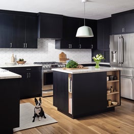 Sunnyvale Scandinavian Kitchen