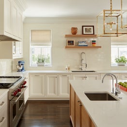 Wicker Park, Single-Family Home