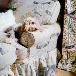 Bohemian Sanctuary in Santa Monica