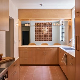 Modern Organic Galley Kitchen