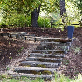 Soulful Home Garden Pathway 