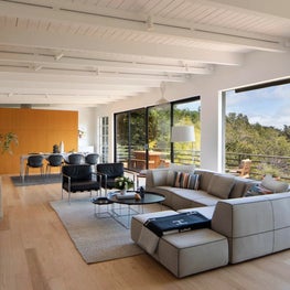 Mill Valley Modern