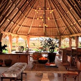 Organic dining area and bar