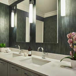 Evanston Master Bathroom