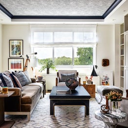 Washington DC Living Room