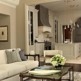 Transitional Family Room