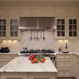 Lake Shore Drive Apartment II Kitchen