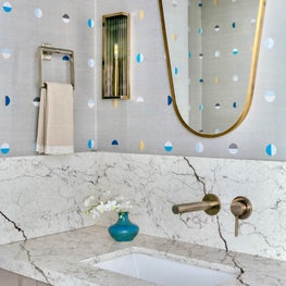 Palm Beach Modern Powder Room