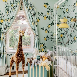 SF SHOWCASE 2018 | "LEMONDROP LULLABY"