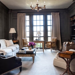 Organic library with deep blue walls