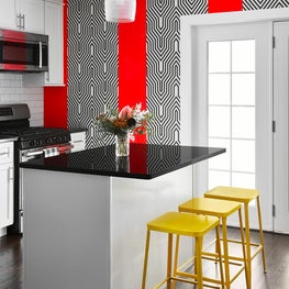 Logan Square chicago , vibrant kitchen design