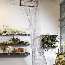 Banchet Flowers 16th Street, View of Store's Interior