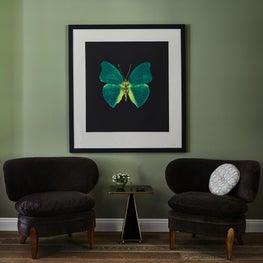 Pair of Chairs with Art