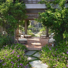 Vine covered pergola with natural-stone path bordered by blue flowered geranium