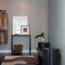 Astor Place/Modern Hall Detail/Modern Bench/Foyer Detail