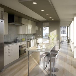 Gray Modern Kitchen - Michigan Avenue, Chicago, IL 