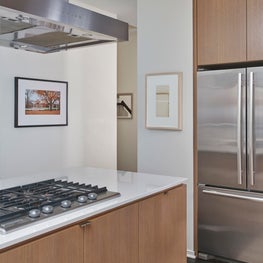 A Clean and Modern Kitchen Design in Bucktown, Chicago