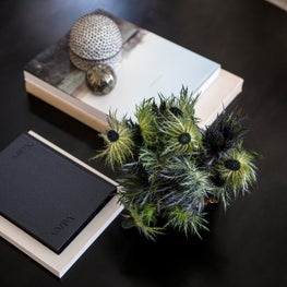 Pacific Heights House