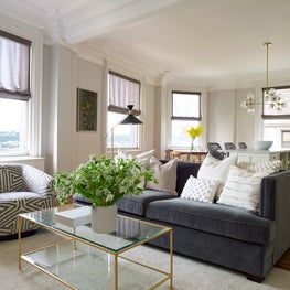 Living Room in NYC Residence