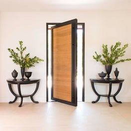 Contemporary Entry Foyer