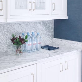 Butlers Pantry Winnetka New Build