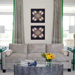 Amanda Reynal Interiors Living Room
