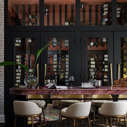 Bar and Wine Storage