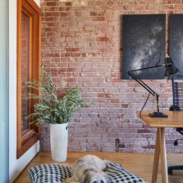 Pet Friendly Office with Buffalo Check Dog Bed