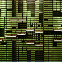 View of Custom Display System