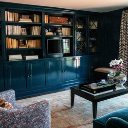 Dark  Blue Library Den