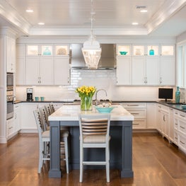 THE CARRIAGE LANE PROJECT