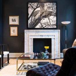 Timeless Classic Habitat